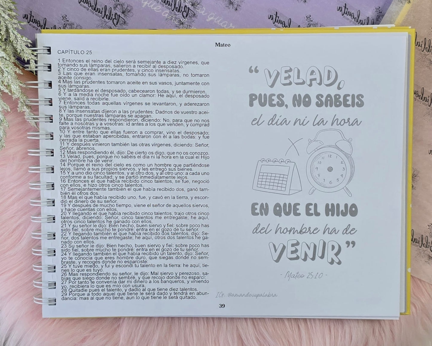 Libro de estudio de los evangelios