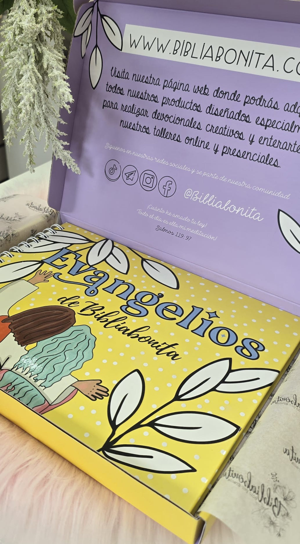 Biblia de journaling
