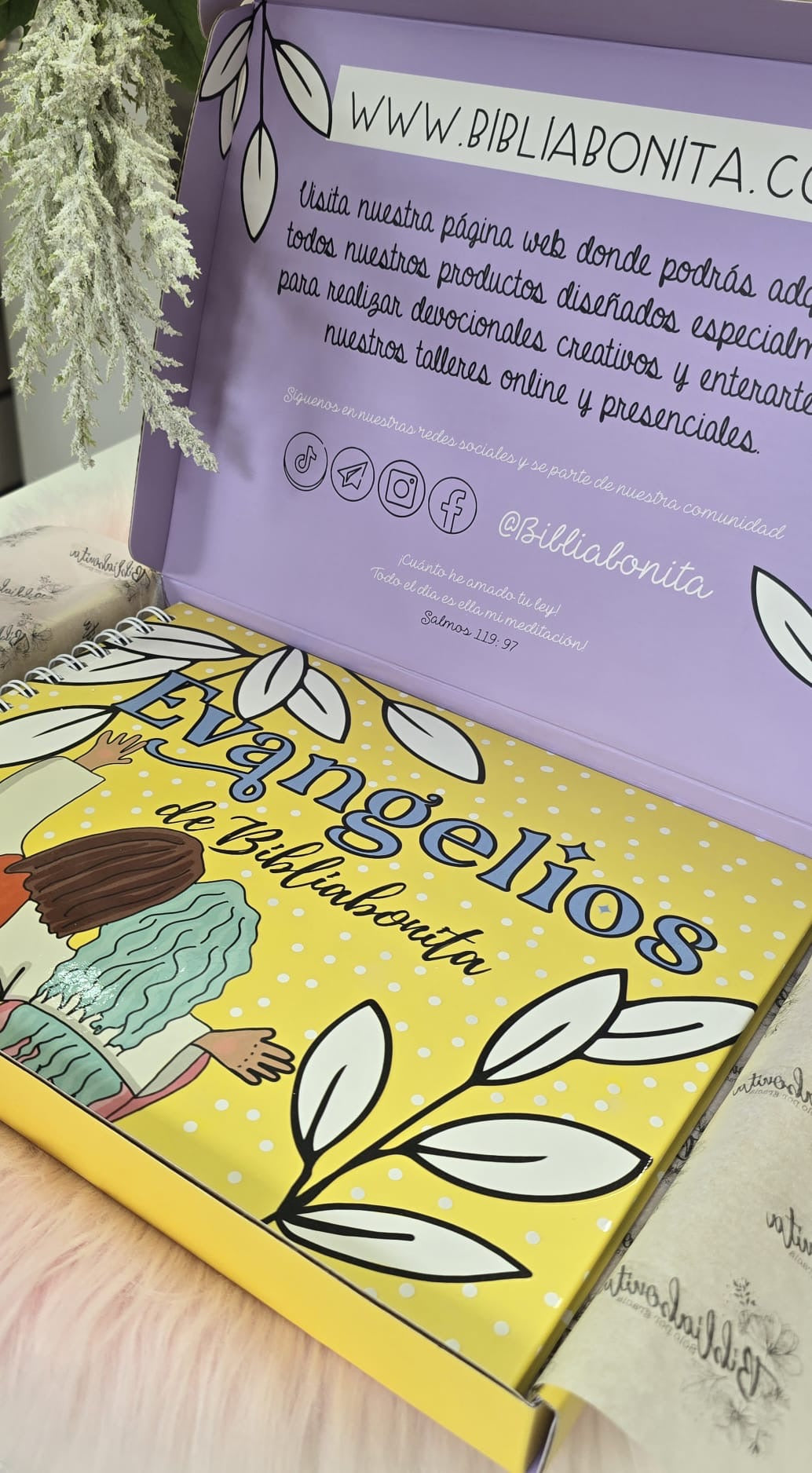 Libro de estudio de los evangelios