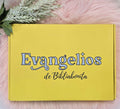 Biblia de journaling