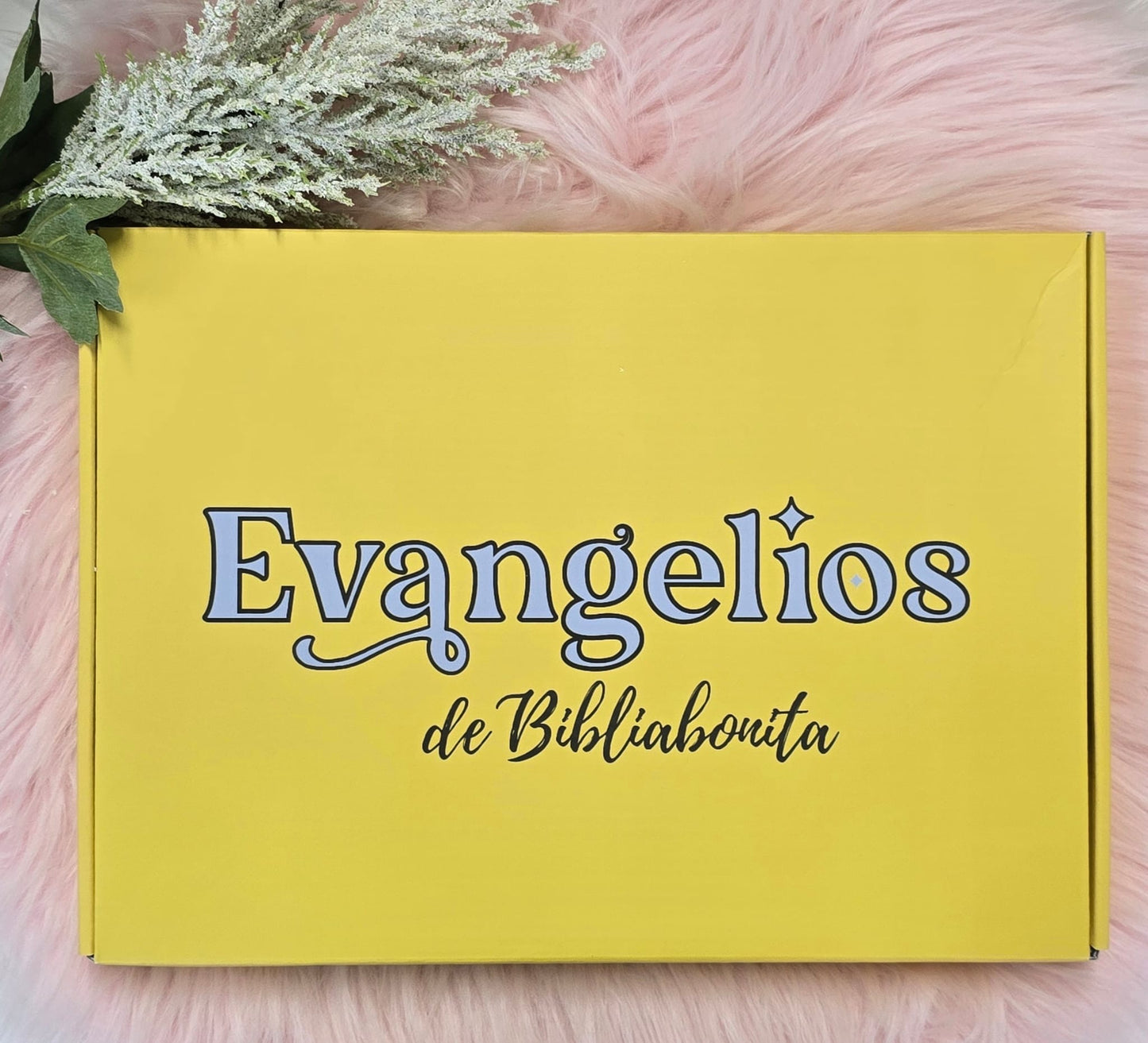 Libro de estudio de los evangelios